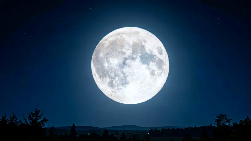 What Does “Have You Seen the Moon” Mean? Unpacking the Phrase