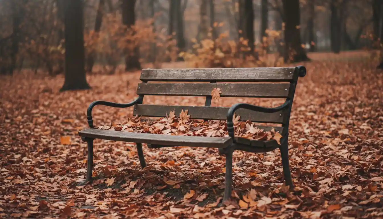 I Miss Having Friends? The Unspoken Truth & How to Truly Connect